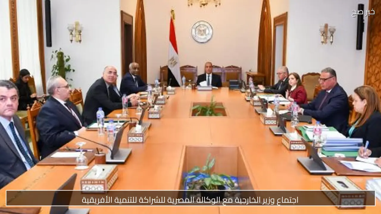 اجتماع وزير الخارجية مع الوكالة المصرية للشراكة للتنمية الأفريقية