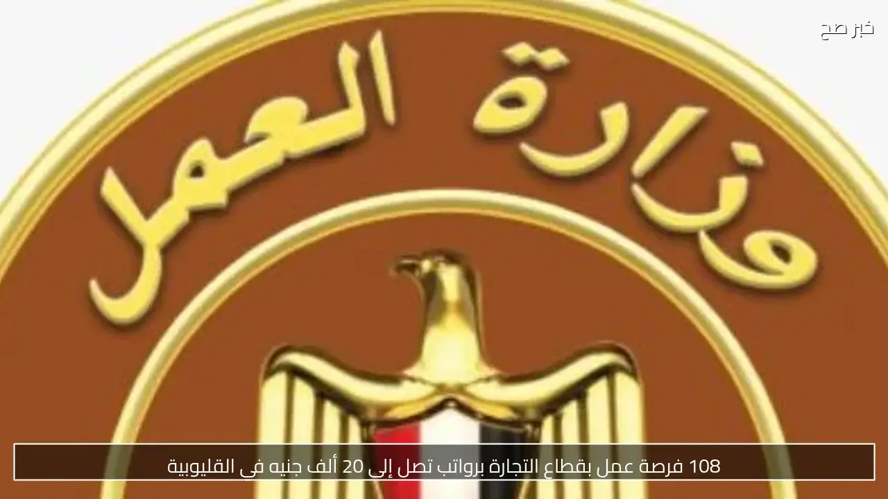 108 فرصة عمل بقطاع التجارة برواتب تصل إلى 20 ألف جنيه في القليوبية